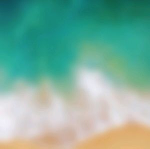 Meet your Posher, Daniela